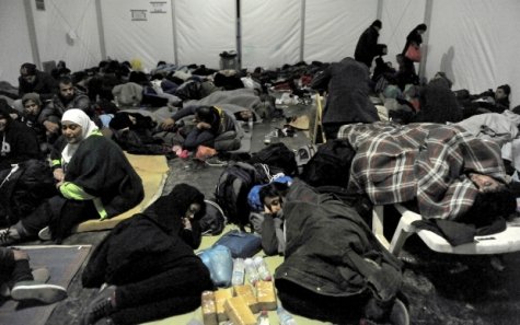 В Швеции группа местных "активистов" планировала нападение на лагерь беженцев