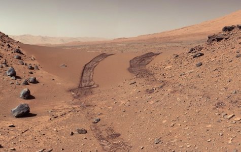 Ученые вырастили урожай на почве, идентичной марсианской