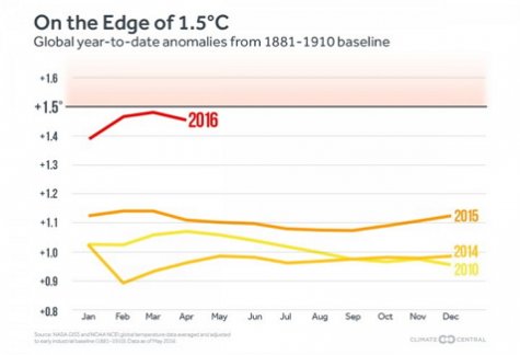 2016 год станет самым жарким за всю историю метеонаблюдений - ученые