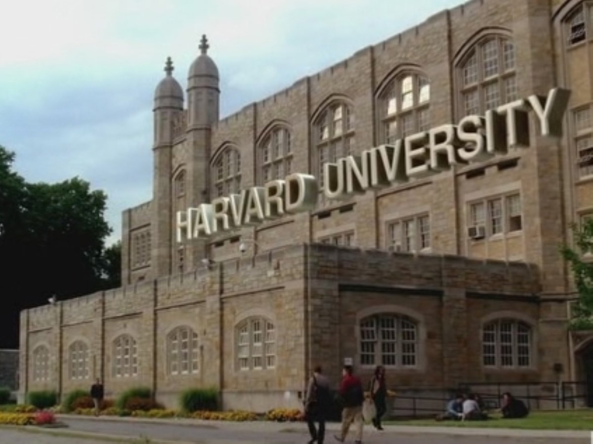Выпускники Гарварда будут стажироваться в Украине - Ложкин