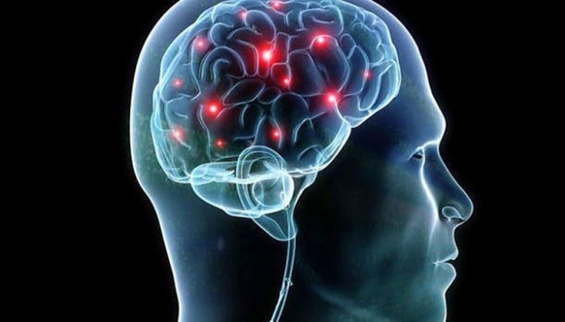 Хронический стресс действительно повреждает мозг - ученые