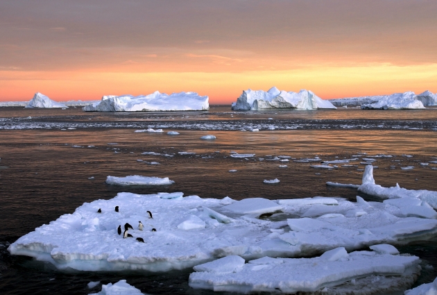 Арктика впервые за 100 тысяч лет может освободится от льда в этом году - ученые