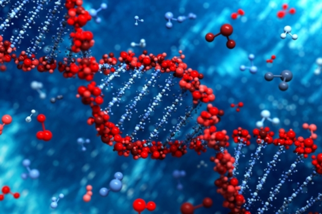 Ученые продвигают проект по созданию генома человека с нуля