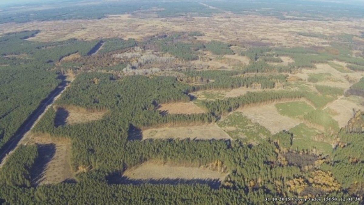 Гройсман поручил фотографировать с беспилотников вырубку украинских лесов
