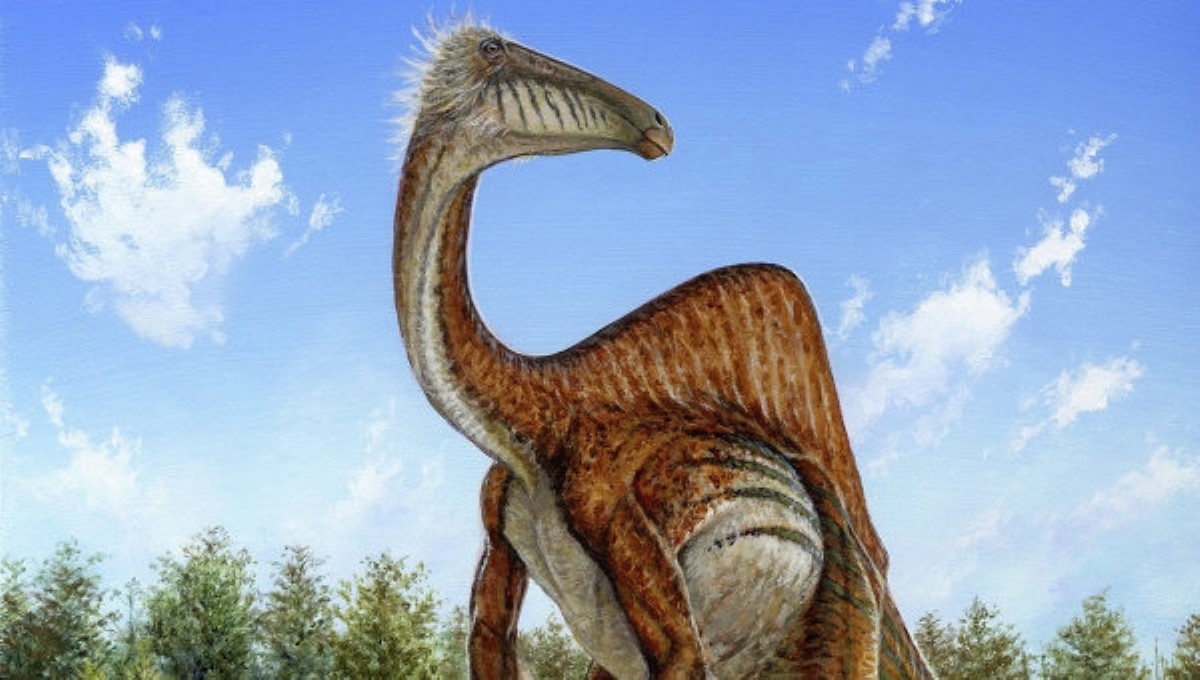 В Боливии нашли гигантский след плотоядного динозавра