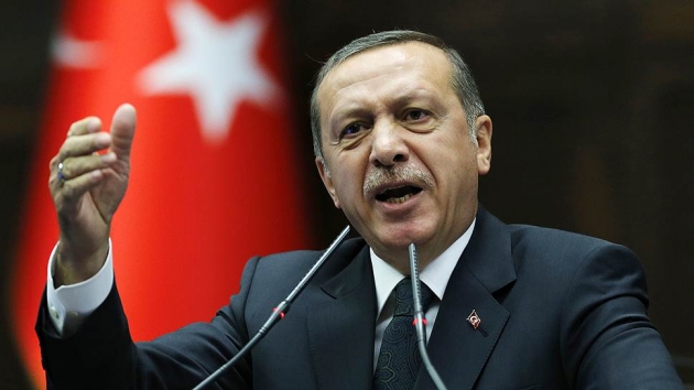 Турецкие СМИ обсуждают, почему мятежникам не удалось сбить самолёт Эрдогана