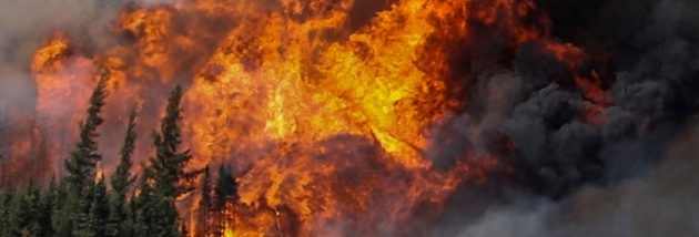 Синоптики предупреждают о чрезвычайном уровне пожарной опасности