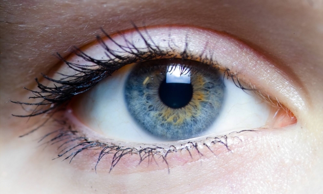 Ученые увеличили эффективность глазных капель во много раз