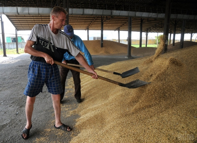 Украина планирует экспортировать почти 40 млн тонн зерновых - министр