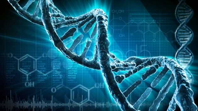 Ученые обнаружили у людей следы неизвестного ДНК