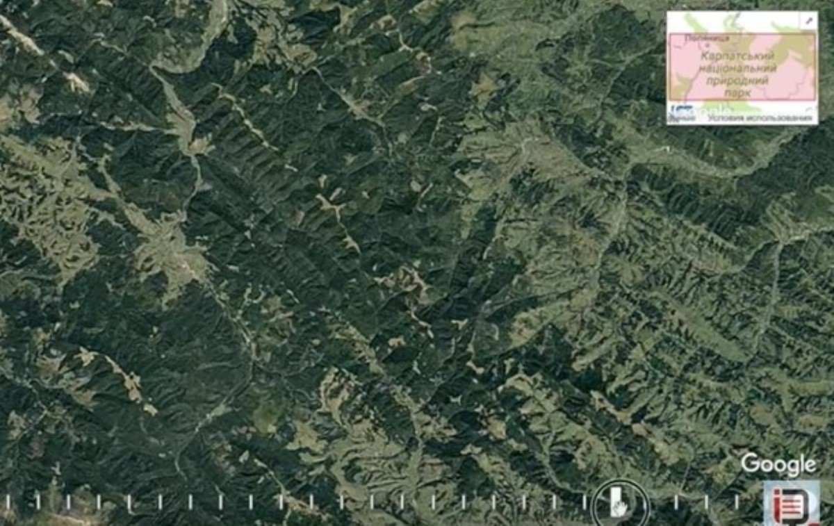 Исчезновения лесов Карпат показали на фотографиях со спутника