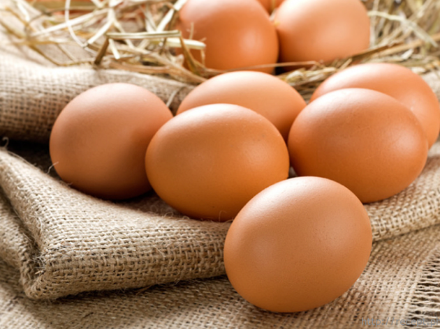 В Украине подешевеют яйца из-за куриного гриппа