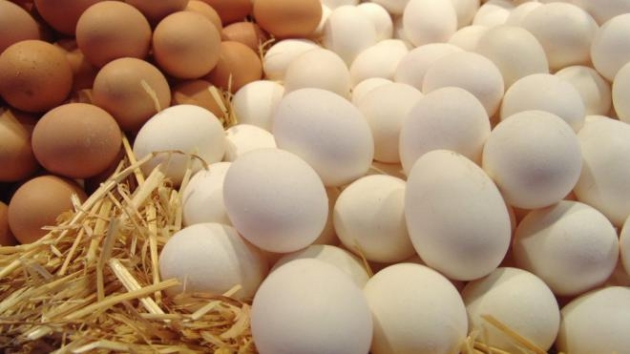 Украина существенно сократила экспорт яиц