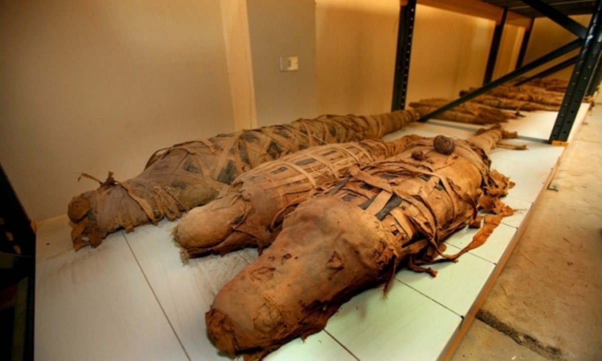В Египте обнаружили редчайшею мумию крокодила