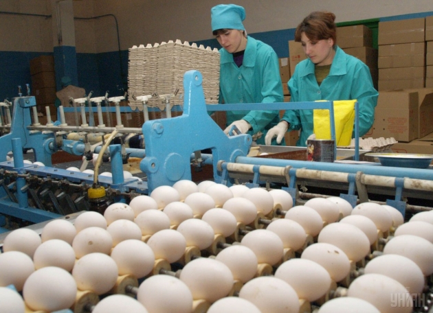 В Украине резко подешевели яйца