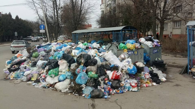 Во Львове треть площадок для мусора переполнены