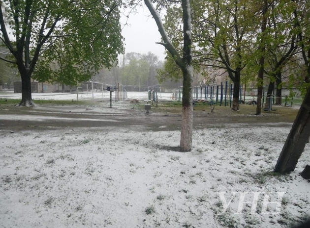 В Днепре закрываются школы