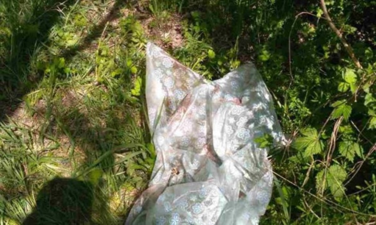 В лесополосе со следами телесных повреждений обнаружено тело военного
