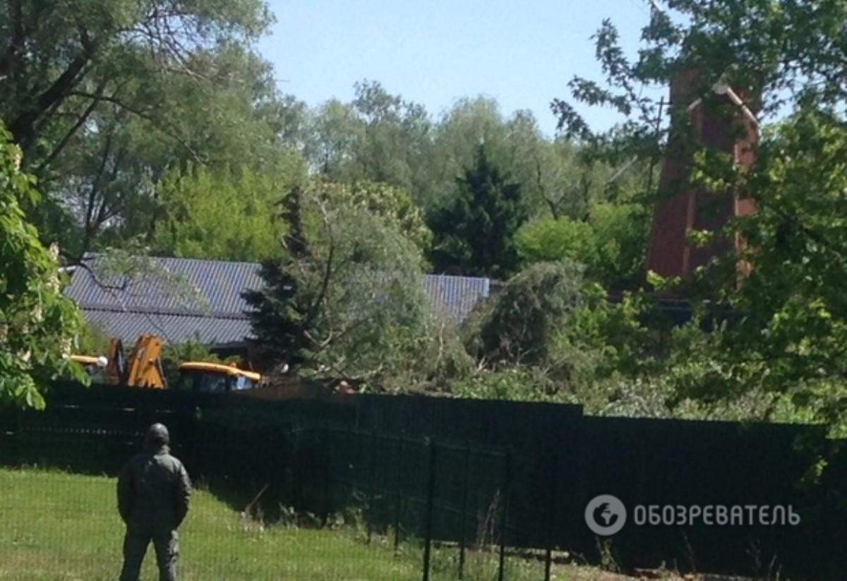 В Киеве неизвестные в камуфляже и балаклавах срезали деревья