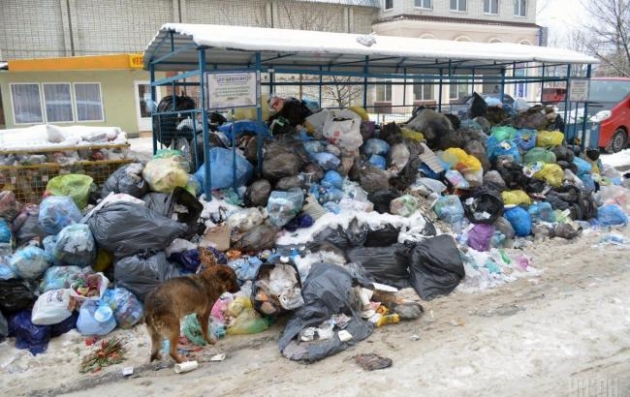 На Львовщине китайская компания построит мусоросжигательный завод