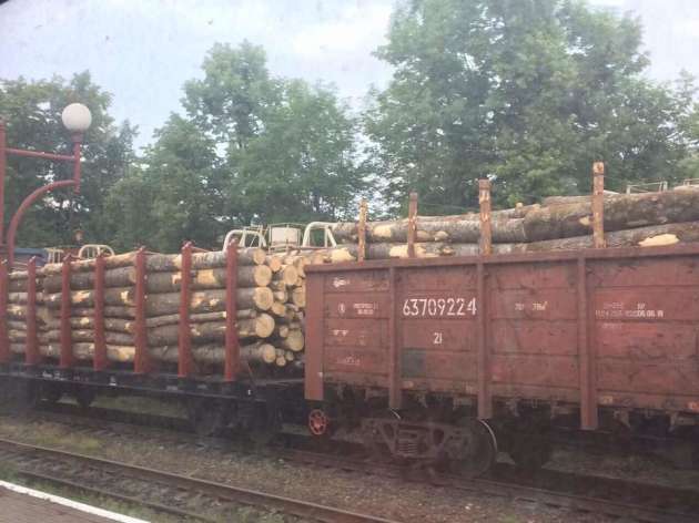 Воруют и вывозят: в Ивано-Франковске заметили вагоны с лесом-кругляком