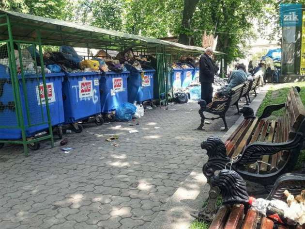 Мусорный кризис: Садовый хочет эвакуировать детей из Львова