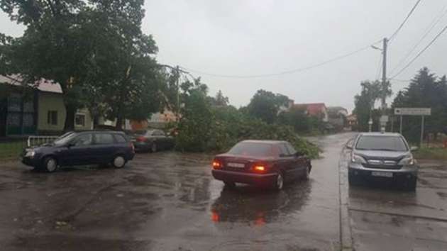Страшно на улицу было выйти: Львов накрыл сильнейший ураган