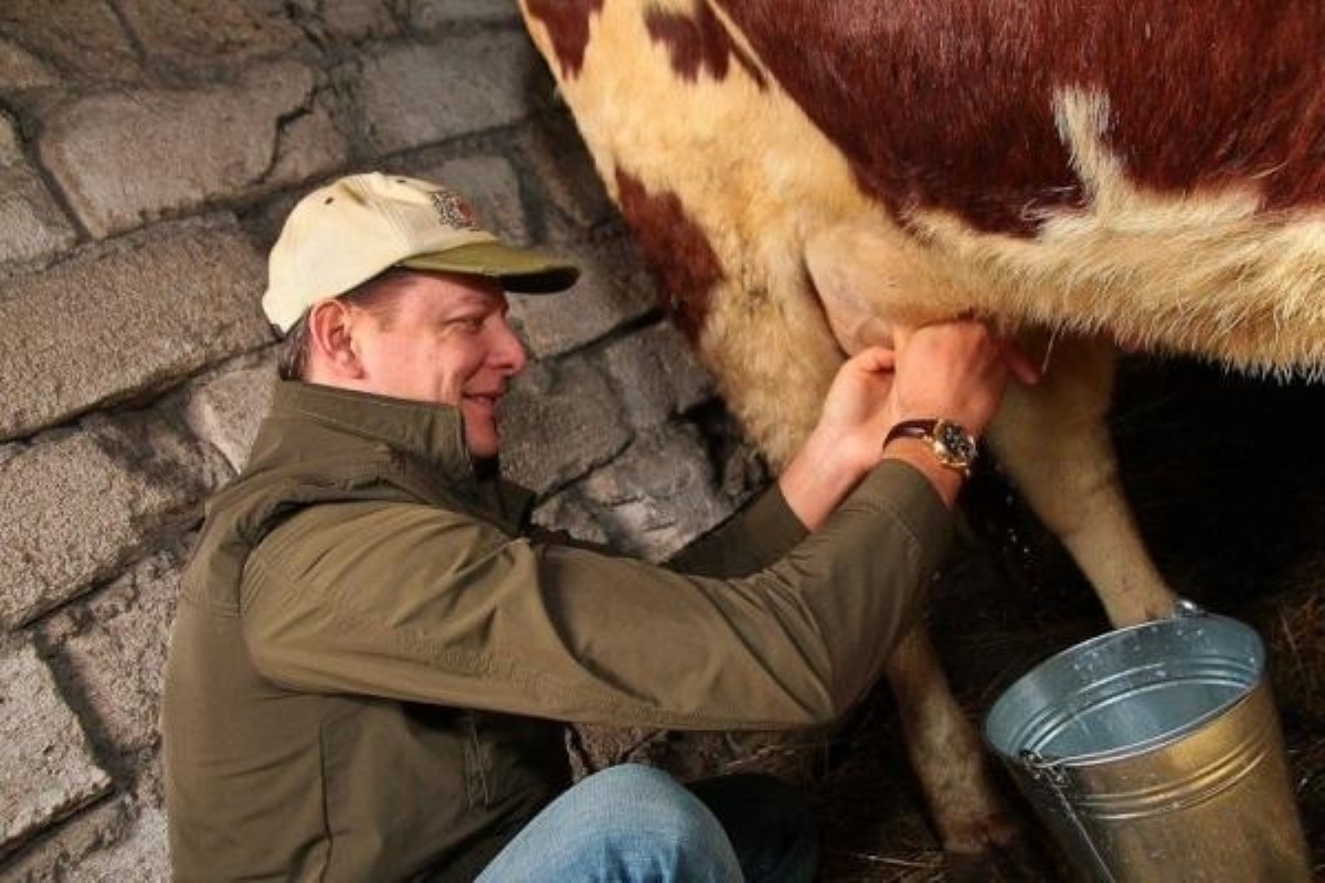 "Ответственность за корову": Ляшко предложил формулу возрождения животноводства в Украине