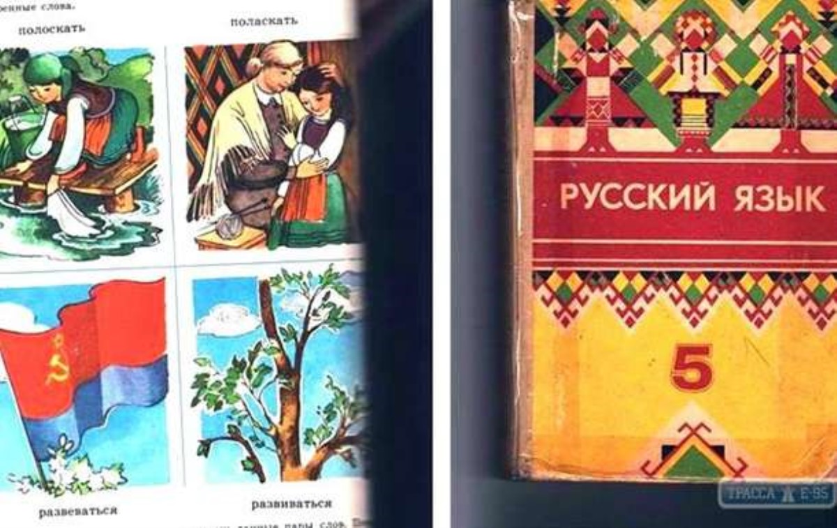 В Одесской области библиотекарь поплатилась за советские учебники