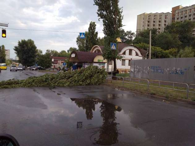 Деревья падали на автомобили: Черкассы накрыл ураган