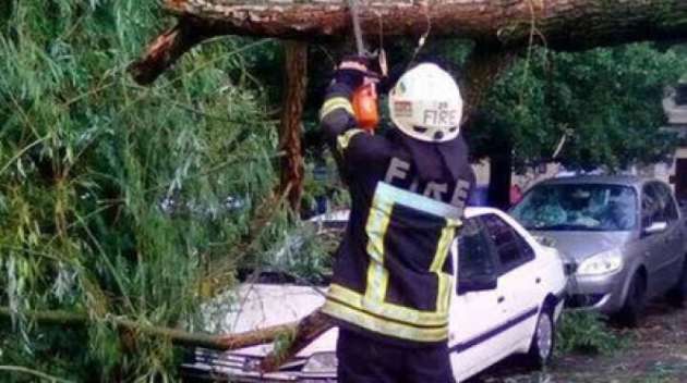 На киевской Оболони дерево растрощило три авто