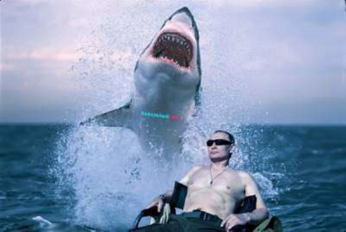 В сети фотожабами высмеяли обнаженного Путина и щуку