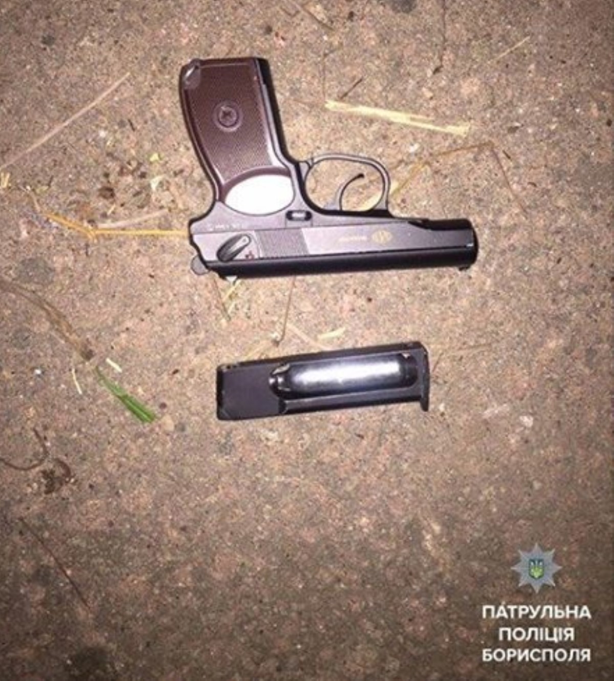 В Борисполе подростки стреляли в водителей и собак из пистолета