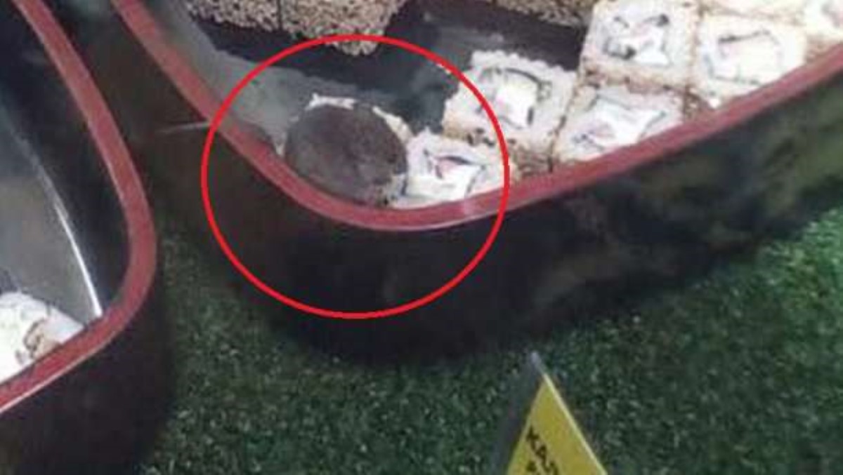 В киевском супермаркете заметили мышь, которая грызла суши в холодильнике