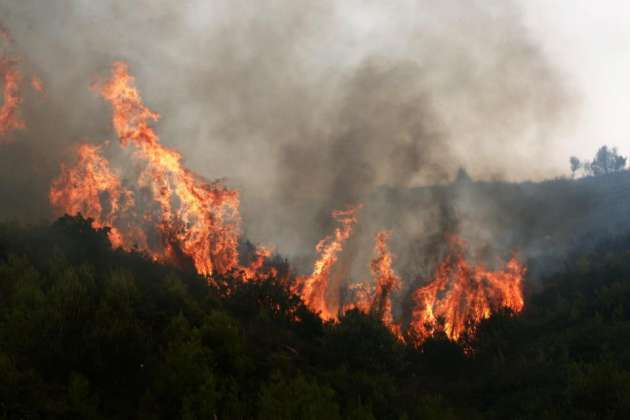 Греция не справляется с тушением масштабных пожаров