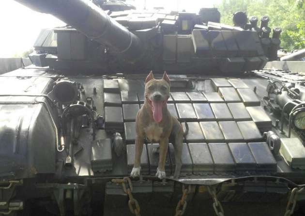 Опубликованы фото российских танков на Донбассе