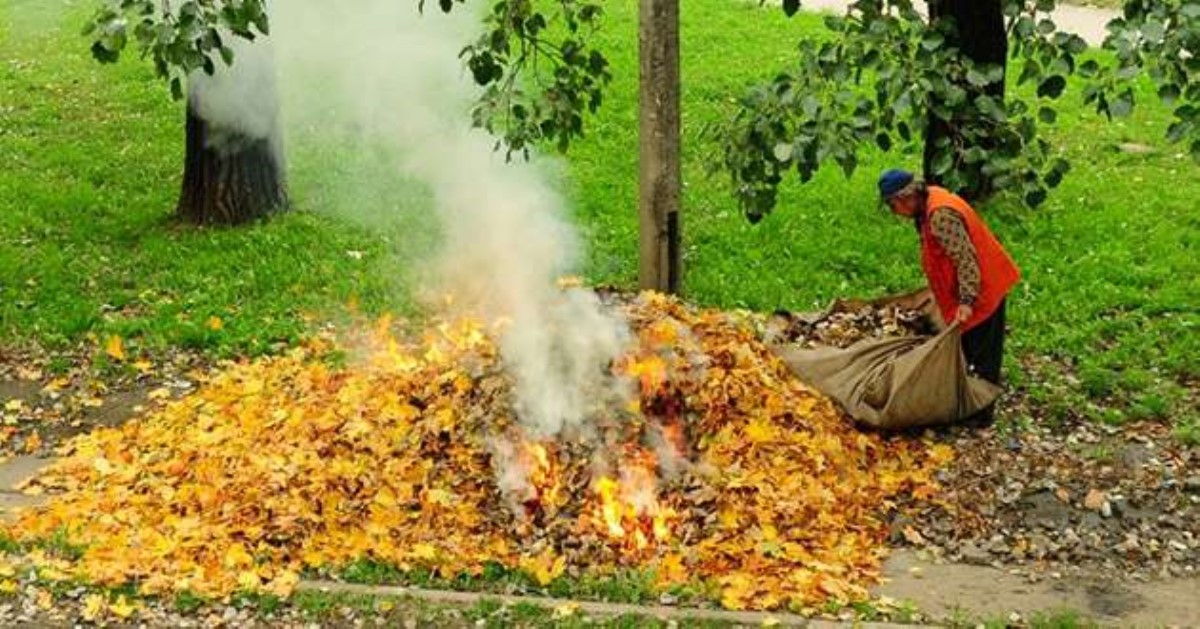 Украина в дыму:  чем опасен костер из листьев