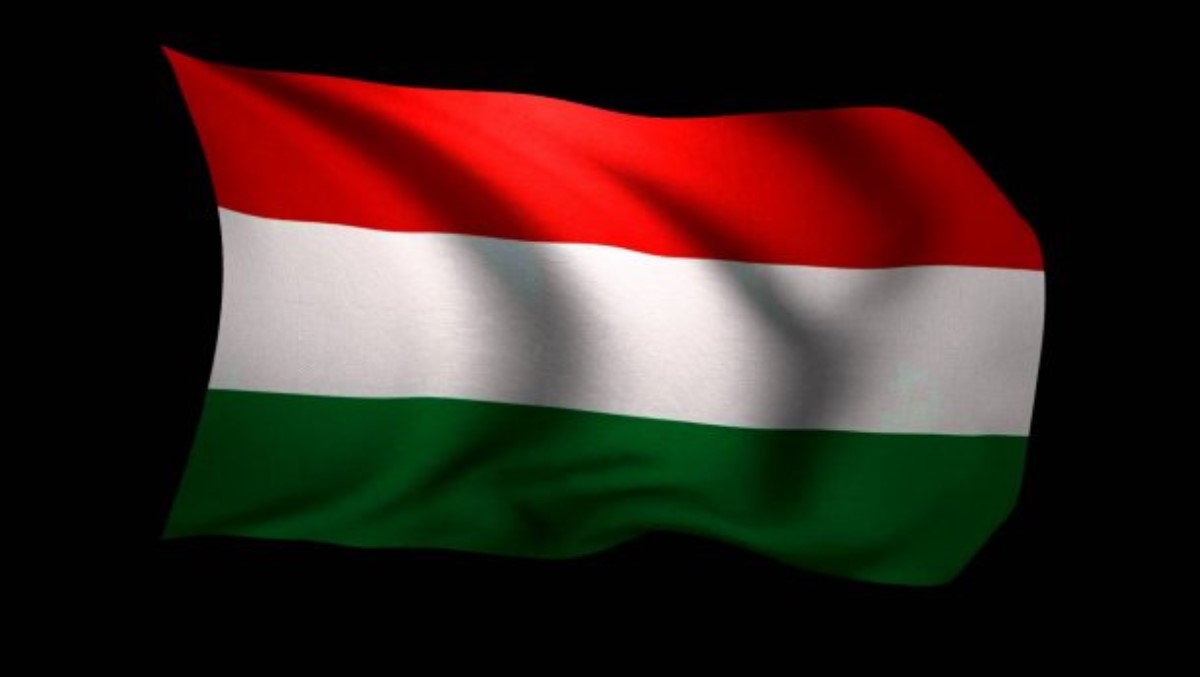 Нардеп метко отреагировал на угрозы Венгрии: Мир сходит с ума