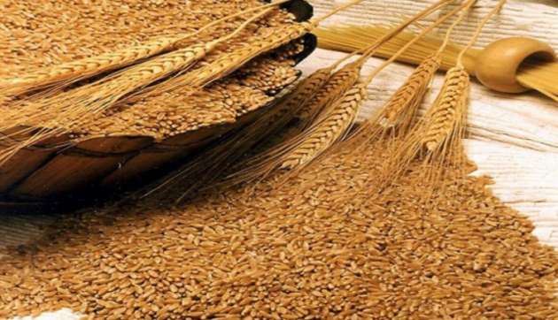 Под флагом Молдовы: стало известно о незаконном вывозе украинской пшеницы из Крыма
