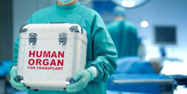 Минздрав поддержал законопроект по трансплантации органов