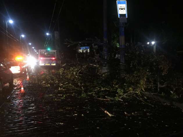 На Черновцы внезапно обрушился ураган: улицы "завалило" деревьями