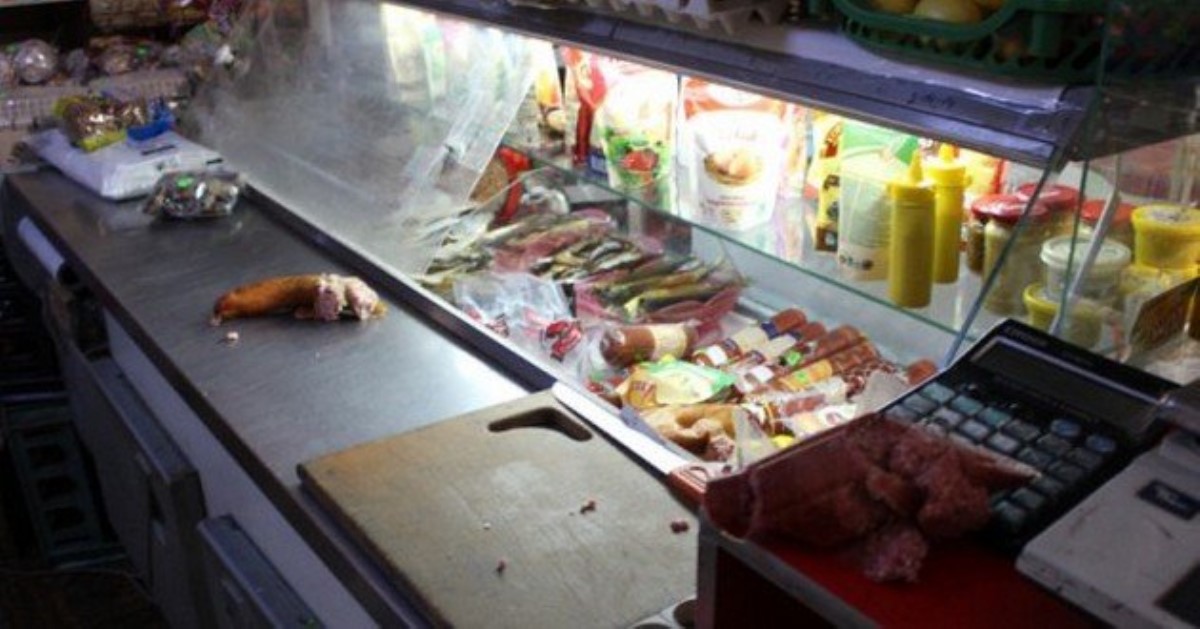 В Черновицкой области двое енотов устроили погром в магазине
