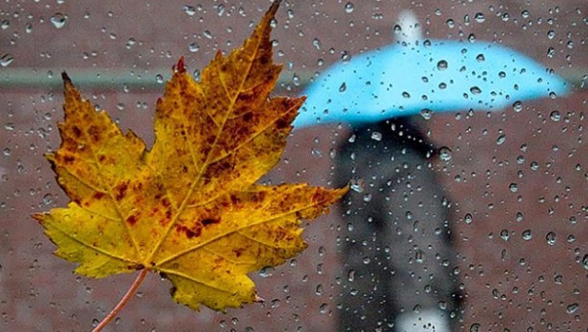 Прогноз погоды на 4 октября: в части Украины грядут осенние дожди