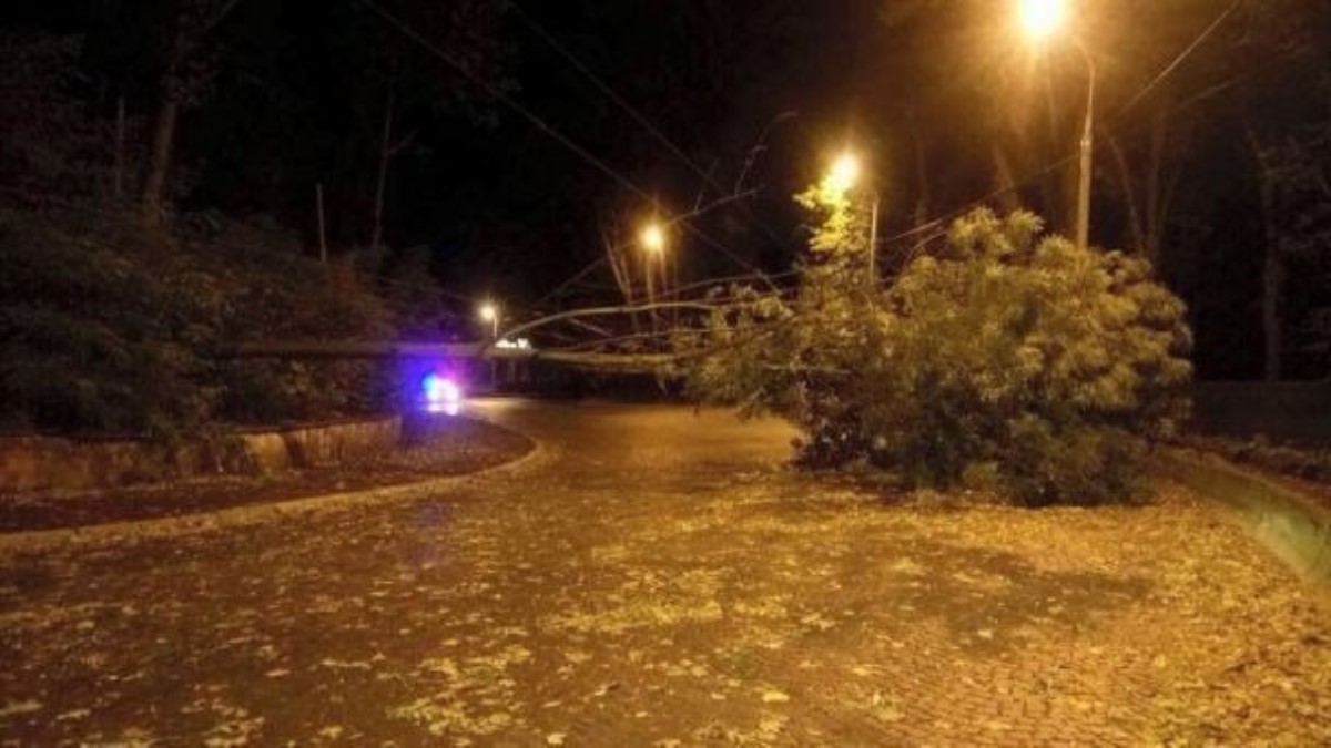 В Украину пришел мощный ураган, деревья ломались как спички