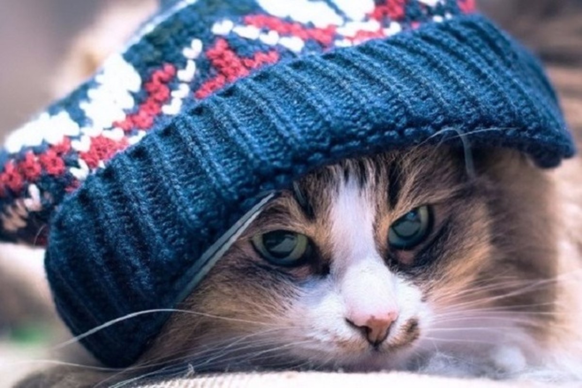 "Доставайте варенье": синоптик рассказала о резкой смене погоды на выходных