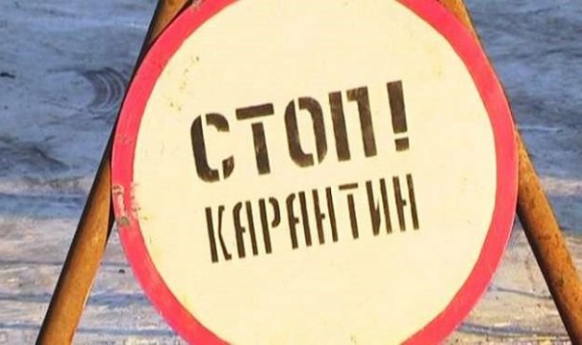 В Киеве объявили карантин из-за бешенства
