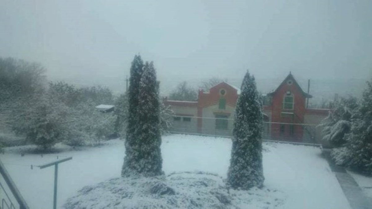 Зима близко: Харьков засыпало первым снегом