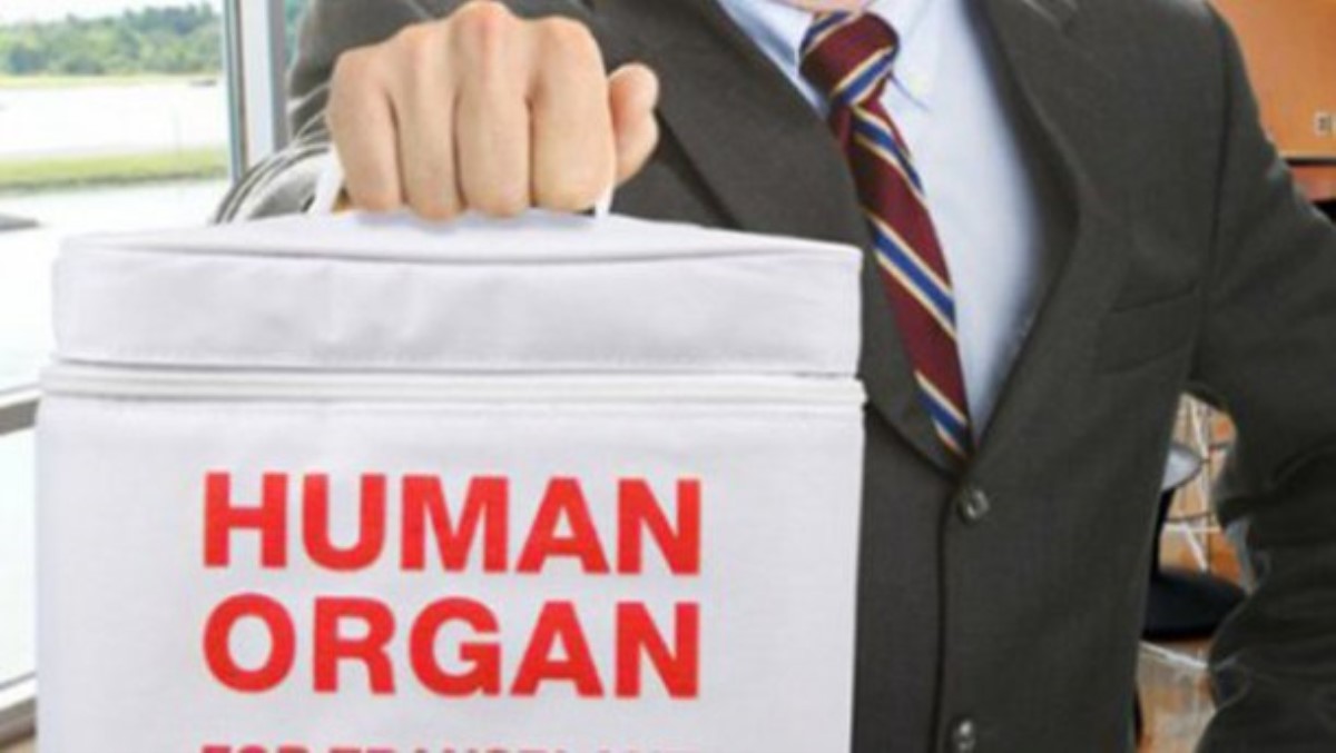 Торговля человеческими органами: журналисты купили две головы и позвоночник в рамках расследован