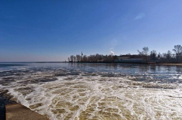 "Цветет и пахнет": фото Киевского моря поразили пользователей Сети