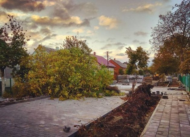 Ураган "Ксавьер" во Львове: появились фото последствий стихии в городе
